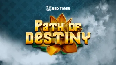 Path of Destiny oyununun kapak görseli